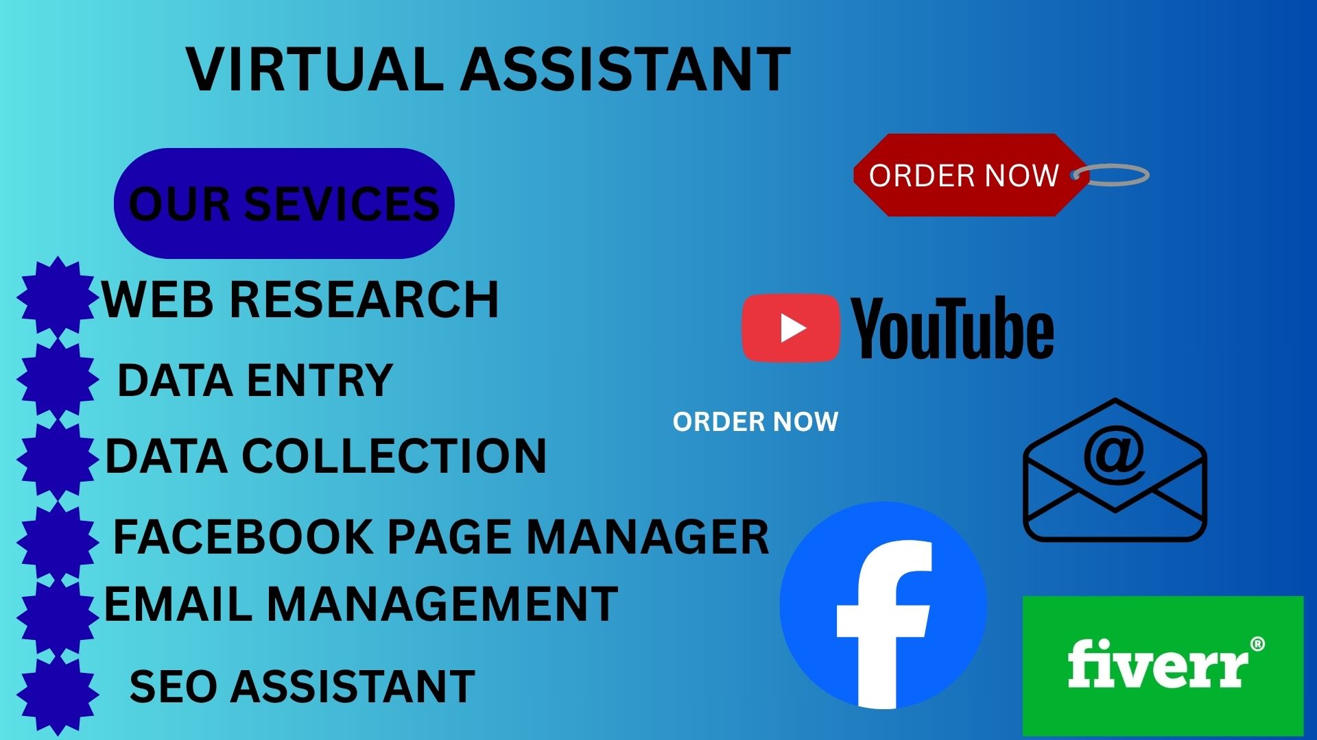 I will provide professional virtual assistant service...