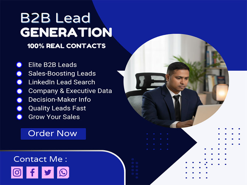 I will create high-quality B2B leads and professional...