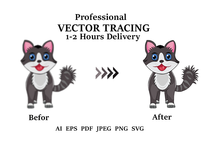 I will do professional vector tracing, image or logo...