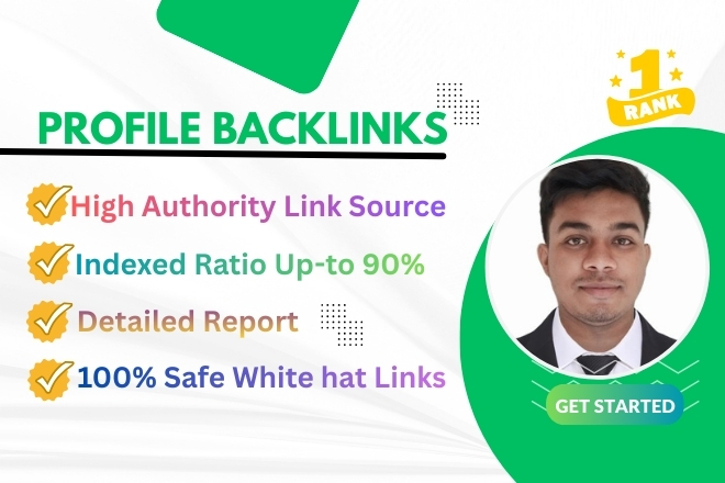 I will build 300 high authority SEO profile backlinks...