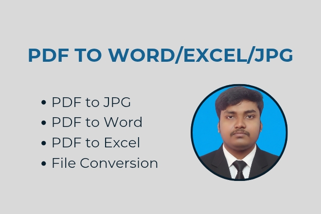 I will convert PDF to Word, Excel, or JPG