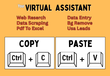 I will do Work High quality Copy paste, data entry, ...