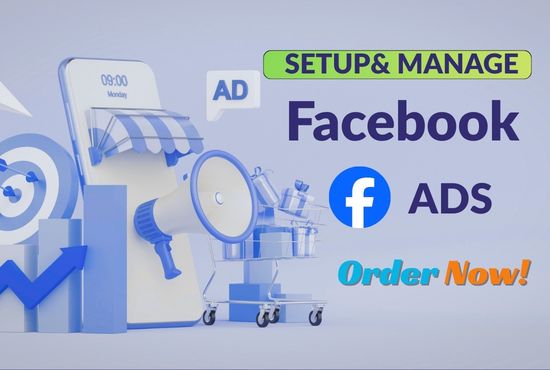 I will set up your Facebook ad and Instagram ad for y...