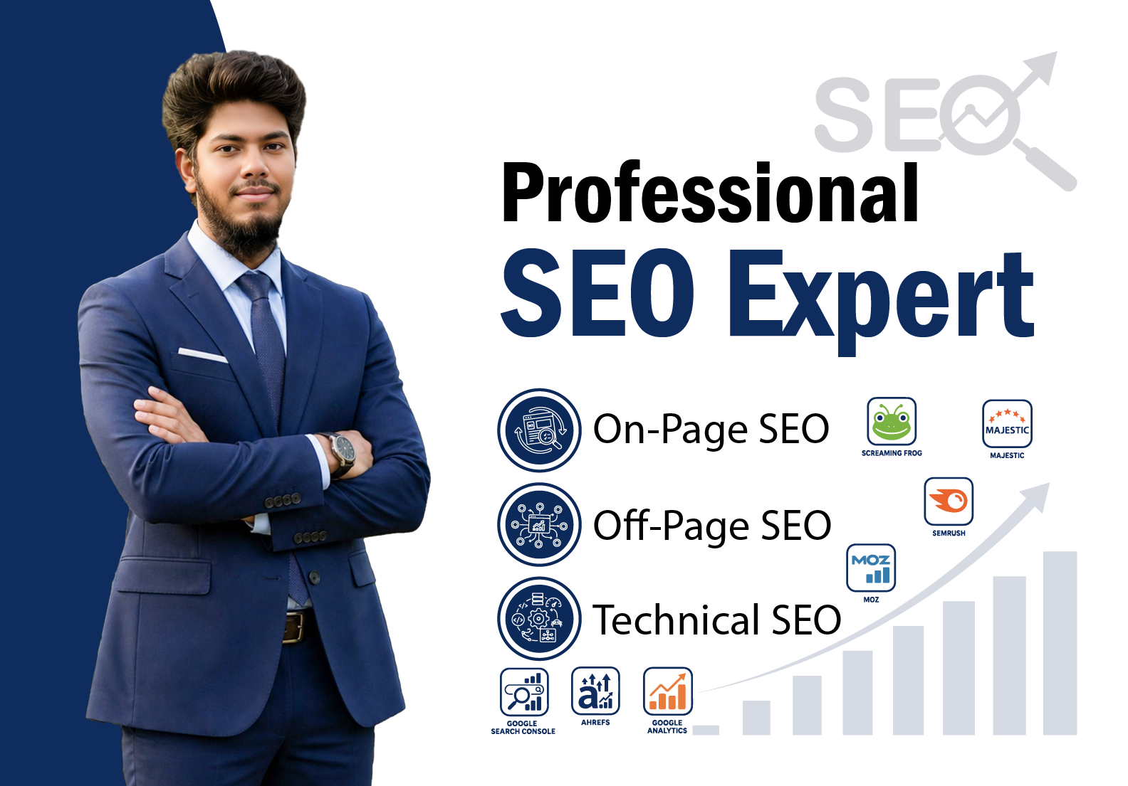 I will provide professional SEO services including On...
