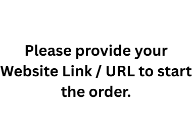 I will drive 1000 real website traffic to your site