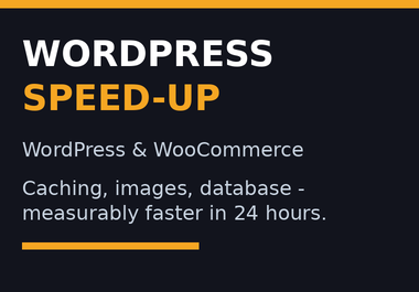 I will speed up your slow WordPress or WooCommerce si...