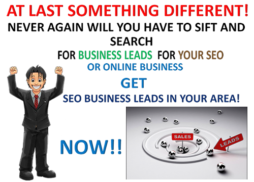 Get Laser Targeted Business SEO Leads - for any type ...