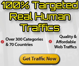Deliver 2000+ Real Human Country & Niche Targeted Visitors to your Website