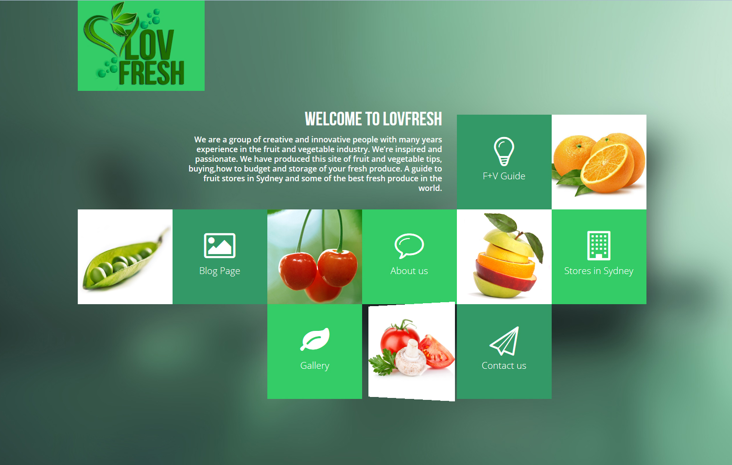 I'll give you Shopify, WordPress, eCommerce Premium...