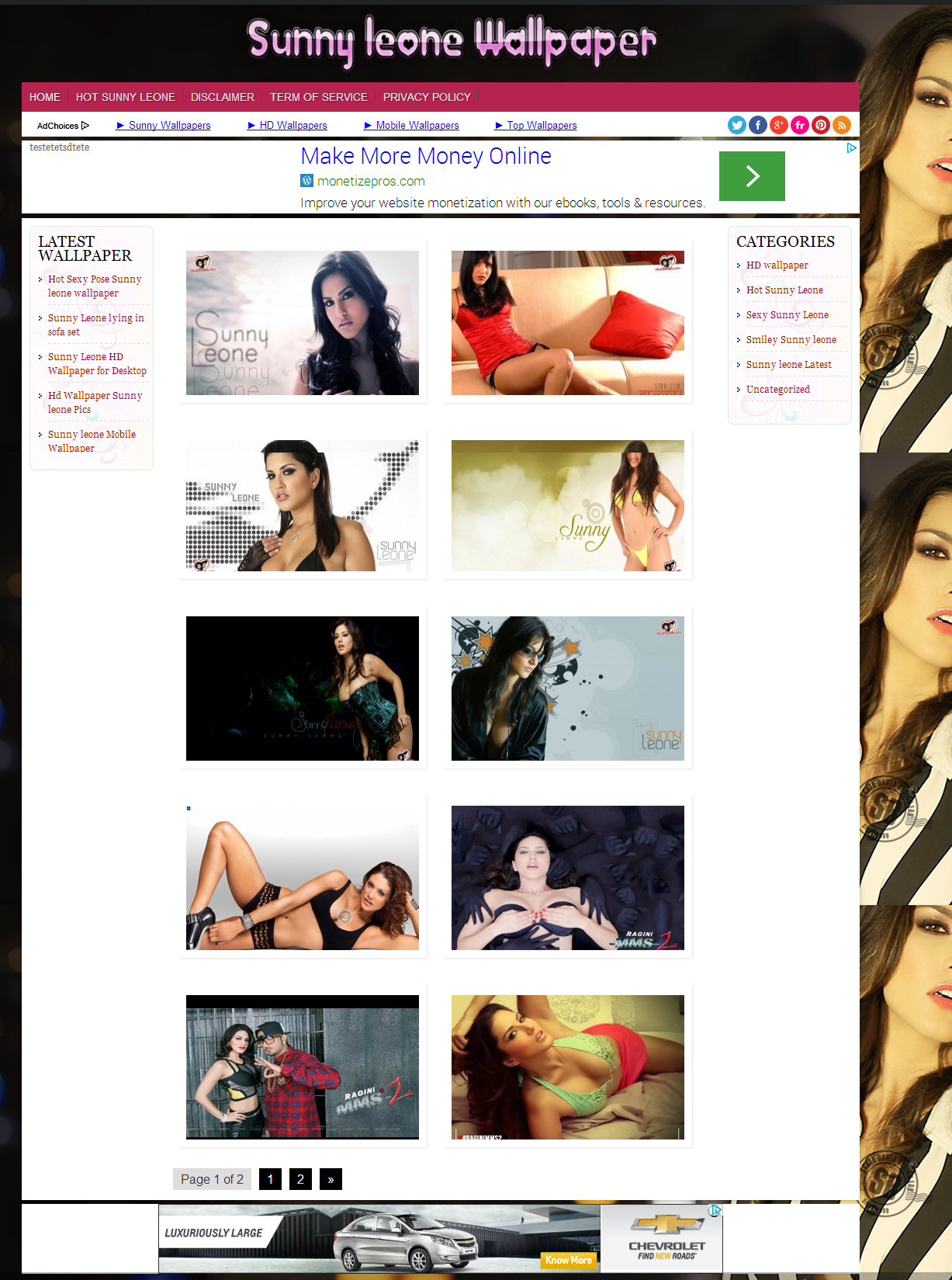 I will build wallpaper website with bulk image postin...