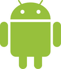 Website into an android app