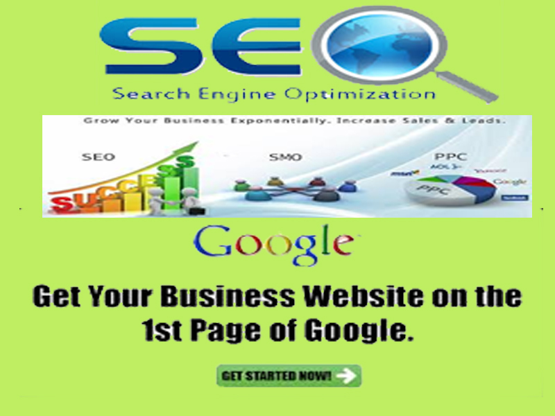 i will give you complete SEO action plan how to earn ...