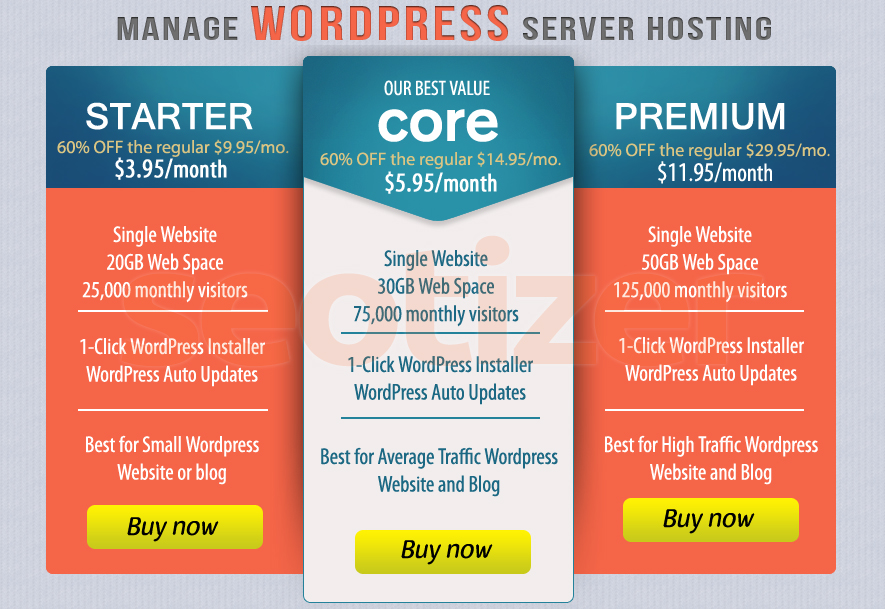 WordPress Server Hosting of 1 Year for Blog or Websit...