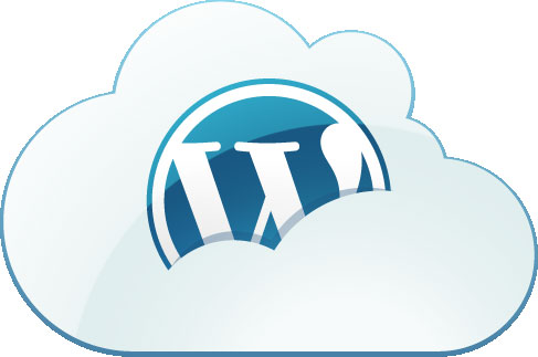 i will make complete wordpress website