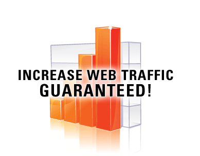 deliver 5000+ Human traffic to your website Alexa Ran...