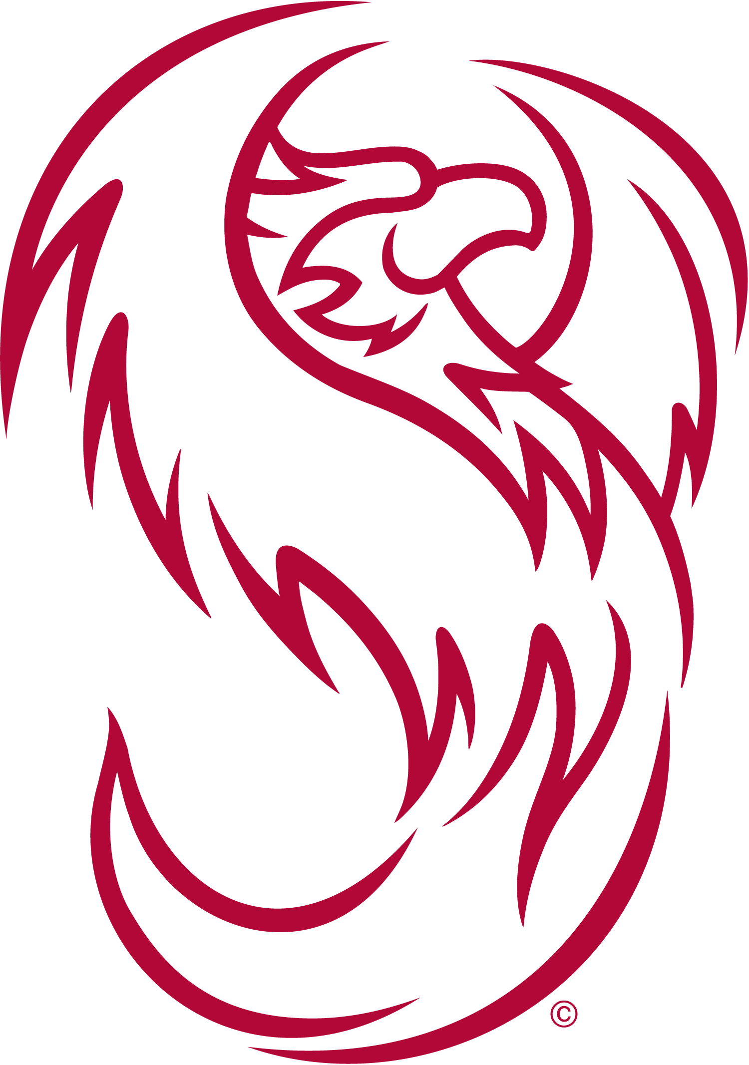 I will make a professional logo design within 24 hour...