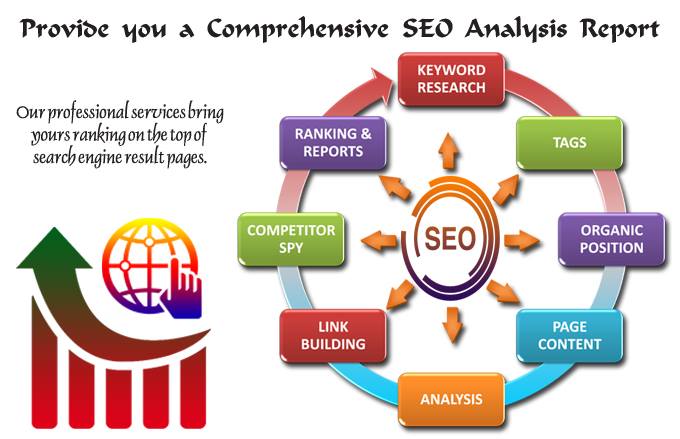 SEO Evaluation Report of your website, 24 Hour Deliv...