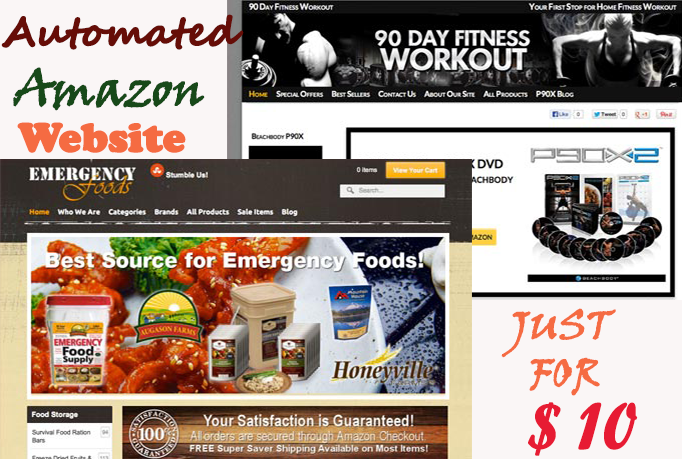 I will make easy fully Automated hassle free Amazon s...