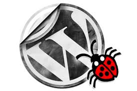 Fix Bug in Worpress Site