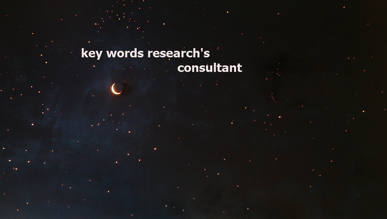 i will perform detailed key words research for you yo...