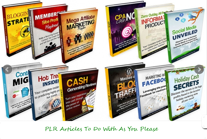I will give you 75 High Quality PLR articles on inter...