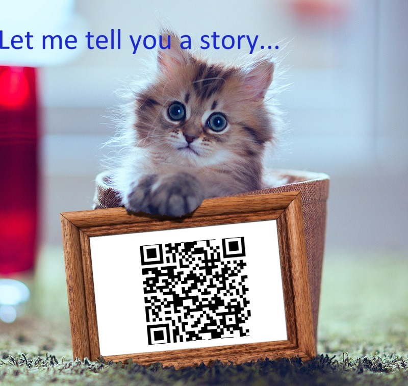 Write creative stories from your ideas