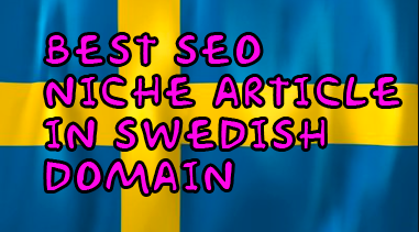 Best SEO create a Swedish niche article in a Swedish ...