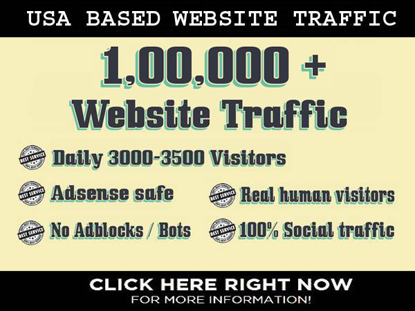I will drive US based traffic to your website for 30 ...