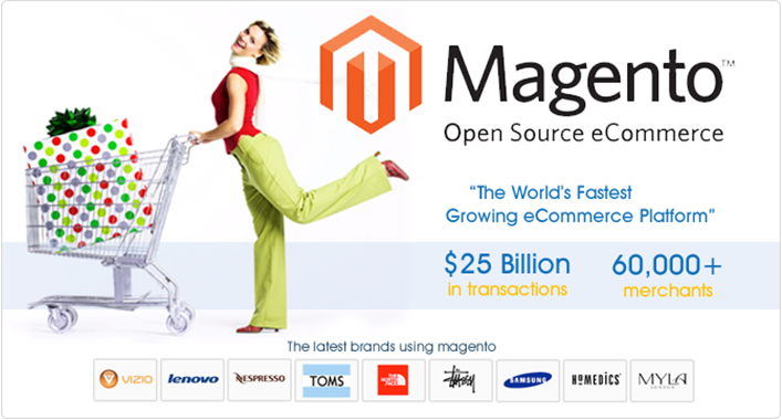 I will upload 1000 products to your magento store wit...
