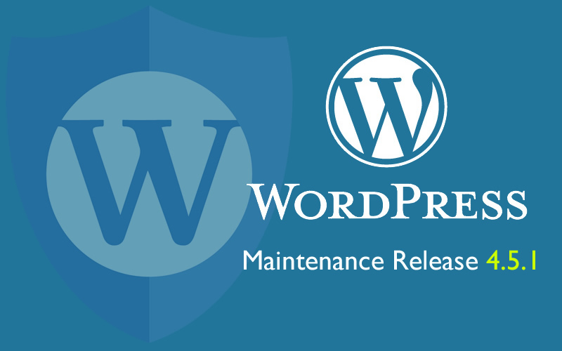 Professional upgrade your Worpdpress or your plugins ...