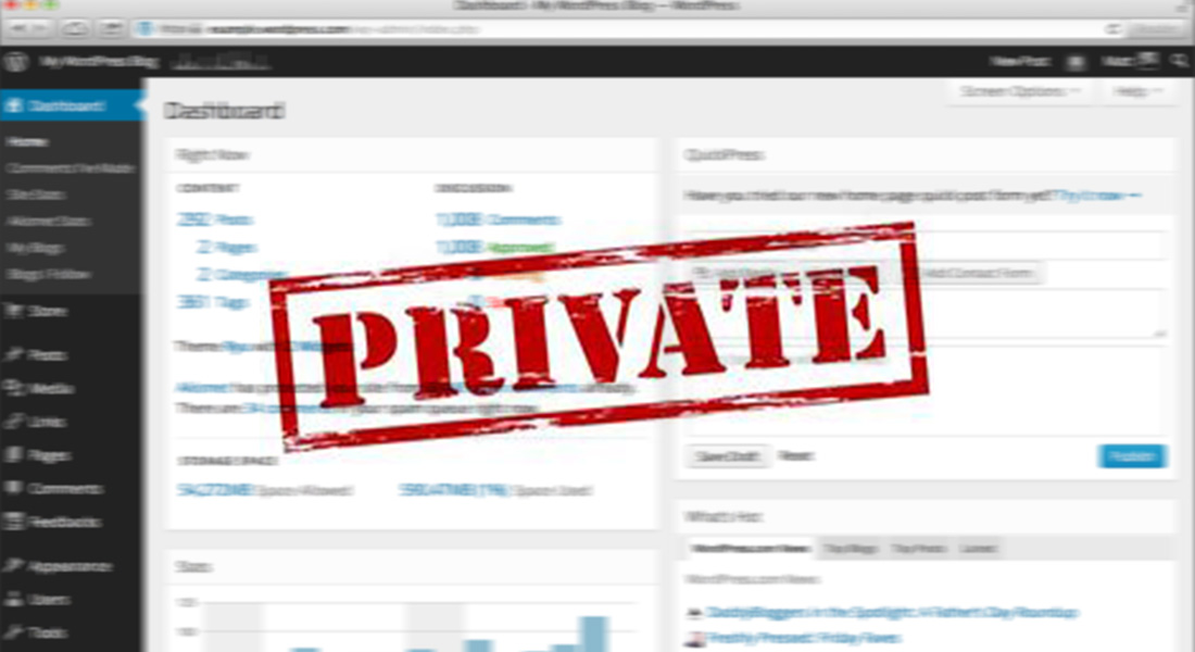 You Want Blog/Website with hosting for make money