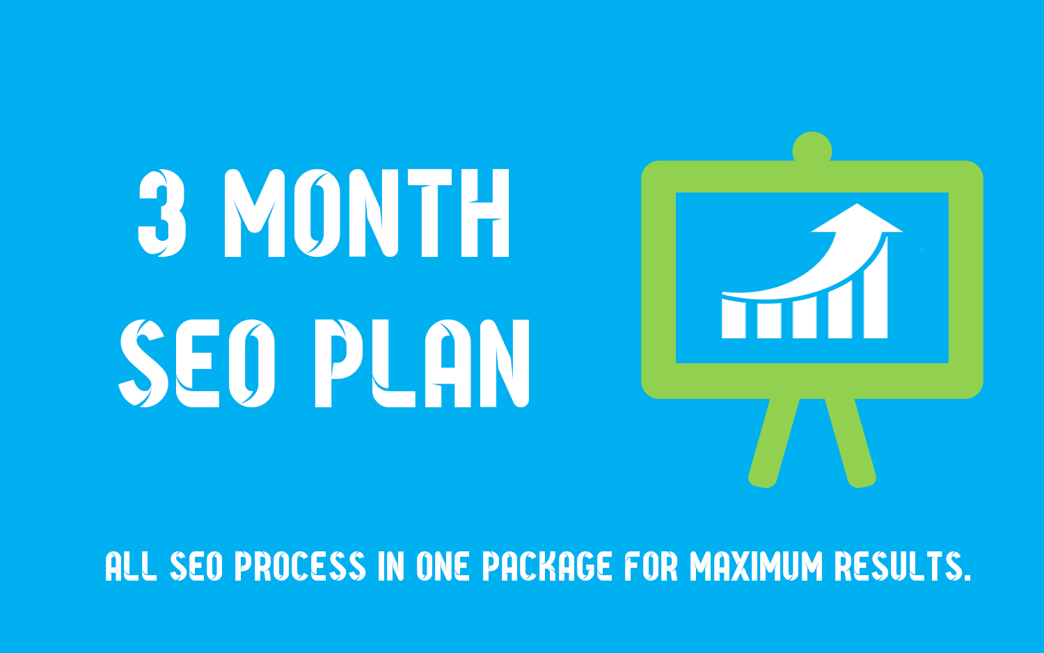 White Hat Monthly SEO Package Full SEO Package