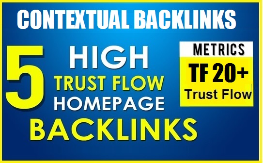 5 PBN Backlinks TF 20+ Permanent Homepage With Conten...