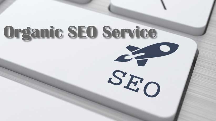 Looking for an organic SEO Service Monthly