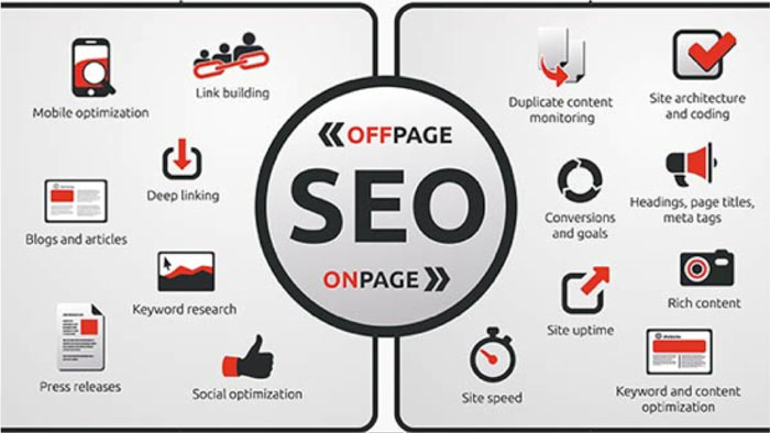 Digital Marketing Expert like SEO, SMO and other int...