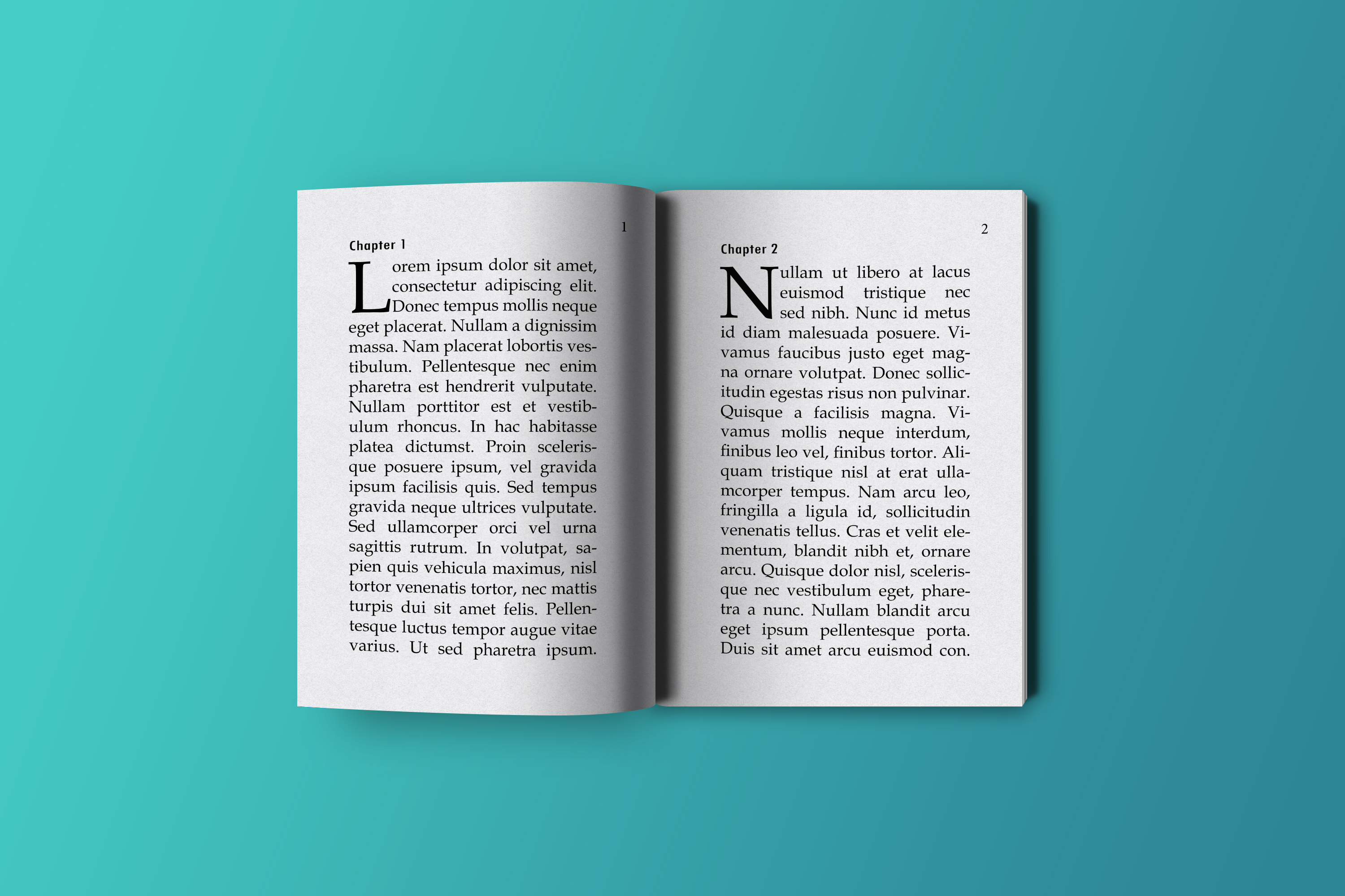 Design Book, EBook, Magazine, Newspaper, a Mockup...