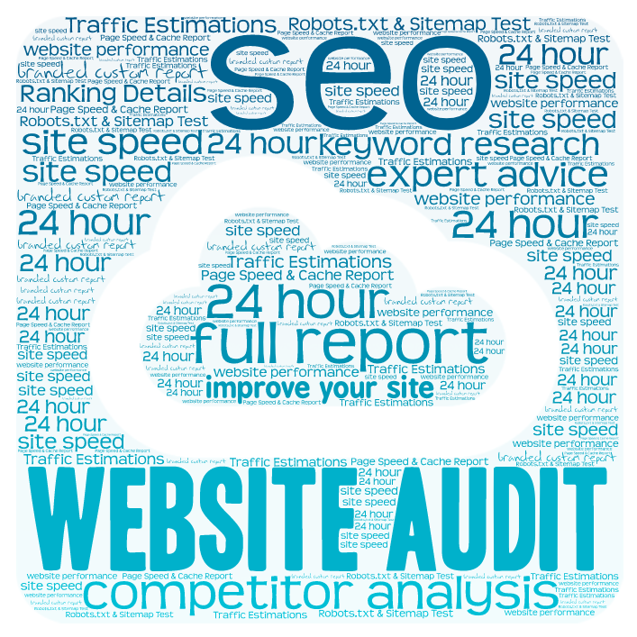 CUSTOM BRANDED SEO WEBSITE AUDITOR+COMPETITOR ANALYSI...