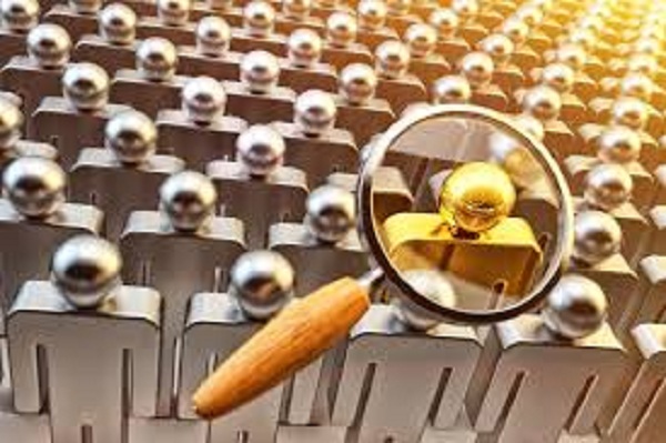 do data research for contact, phone, email, web