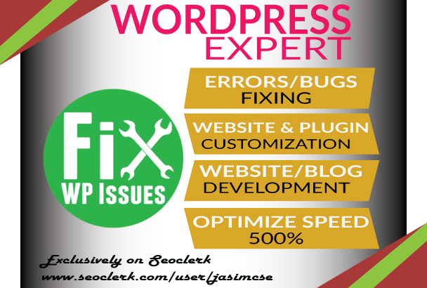 I will fix any wordpress errors or issues within 3 ho...