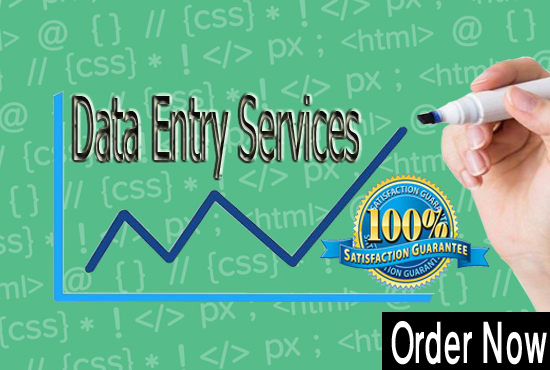 I can Do Any Data Entry Jobs