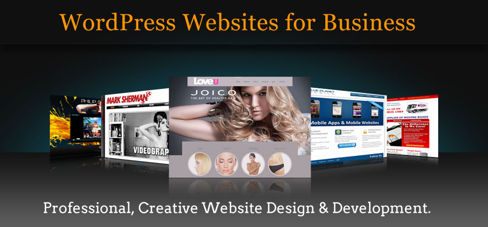 Will Create Wordpress Site And Resolve Issues In Word...