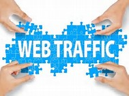 Real, Quality and TARGETTED Niche Based Web TRAFFIC f...