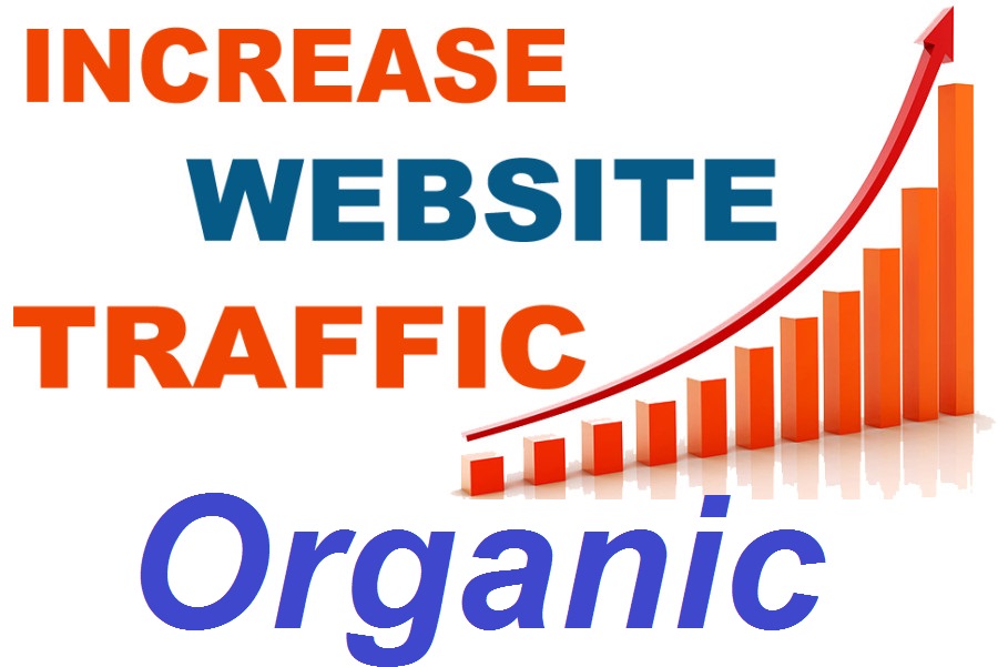 Special Offer Organic web traffic to Your WebSite 750...