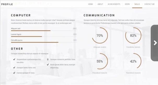 Build A Professional Portfolio Website In Wordpress