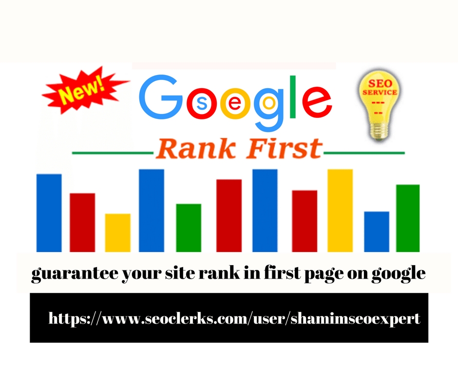 We Provide SEO And Guarantee Your Site Rank In First ...