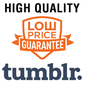 10 Tumblr High Quality Permanent Backlinks for 1 Prof...