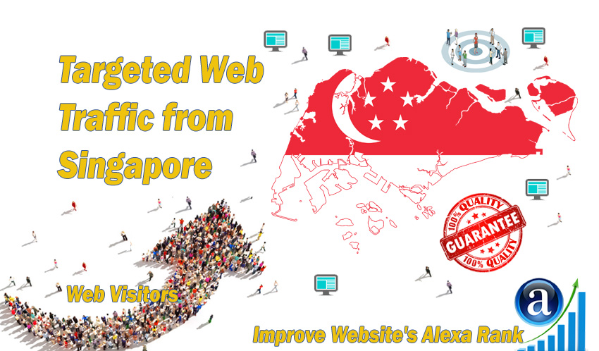 Singaporean web visitors real targeted Organic web tr...