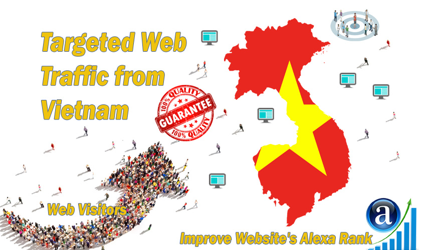 Vietnamese web visitors real targeted Organic web tra...