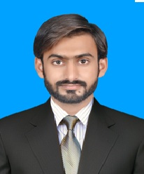 Content writer, Article writer