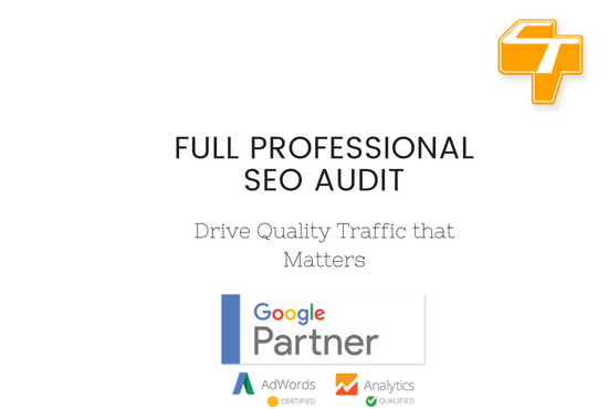 Full Professional SEO Audit